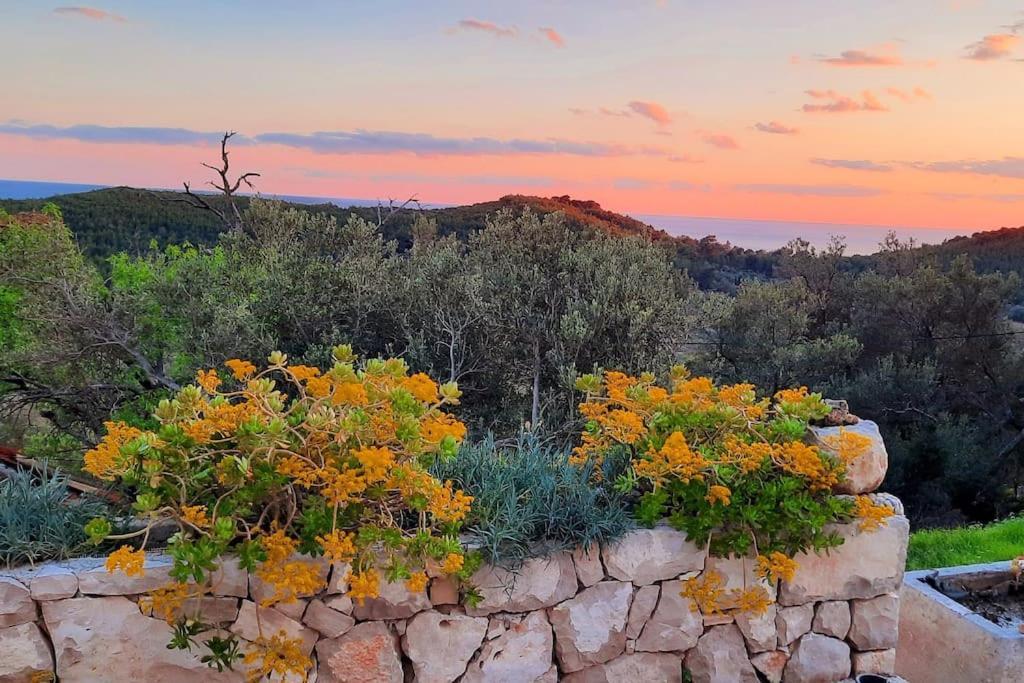 Retro On Island Mljet *