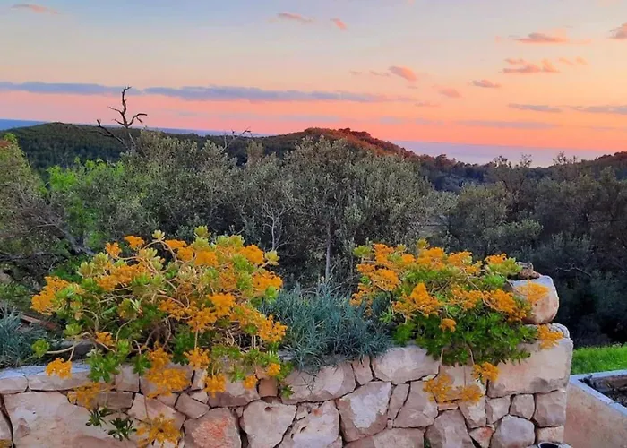 Retro Apartment On Island Mljet