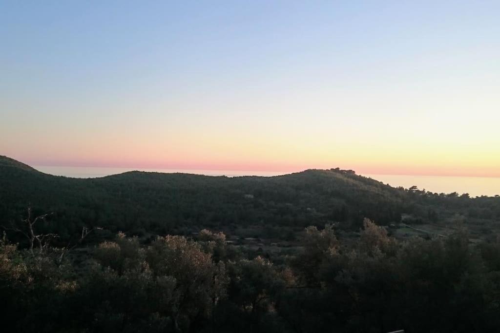 Villa Retro On Island Mljet *